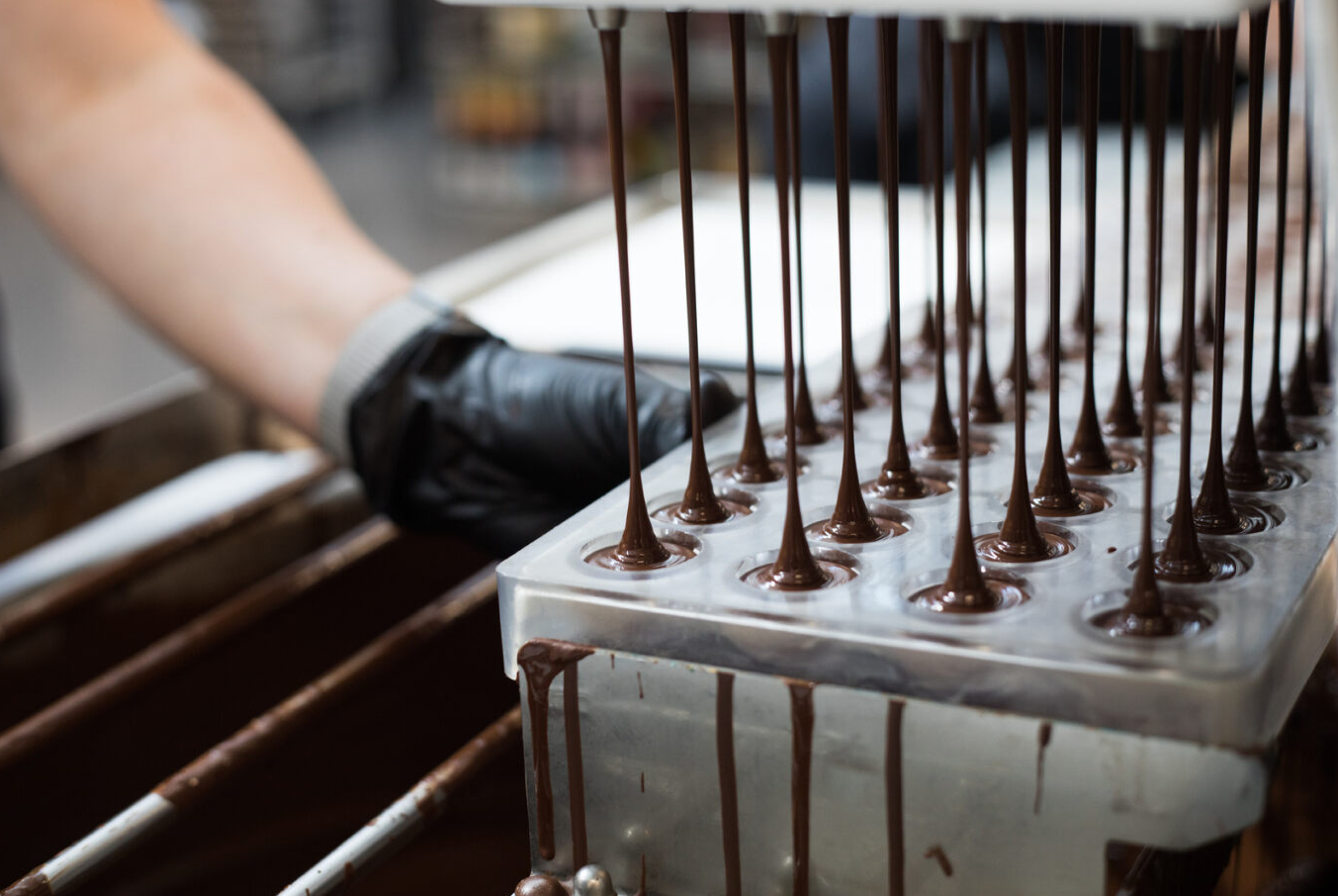 THE INGREDIENTS Cocoa Dolce Chocolates