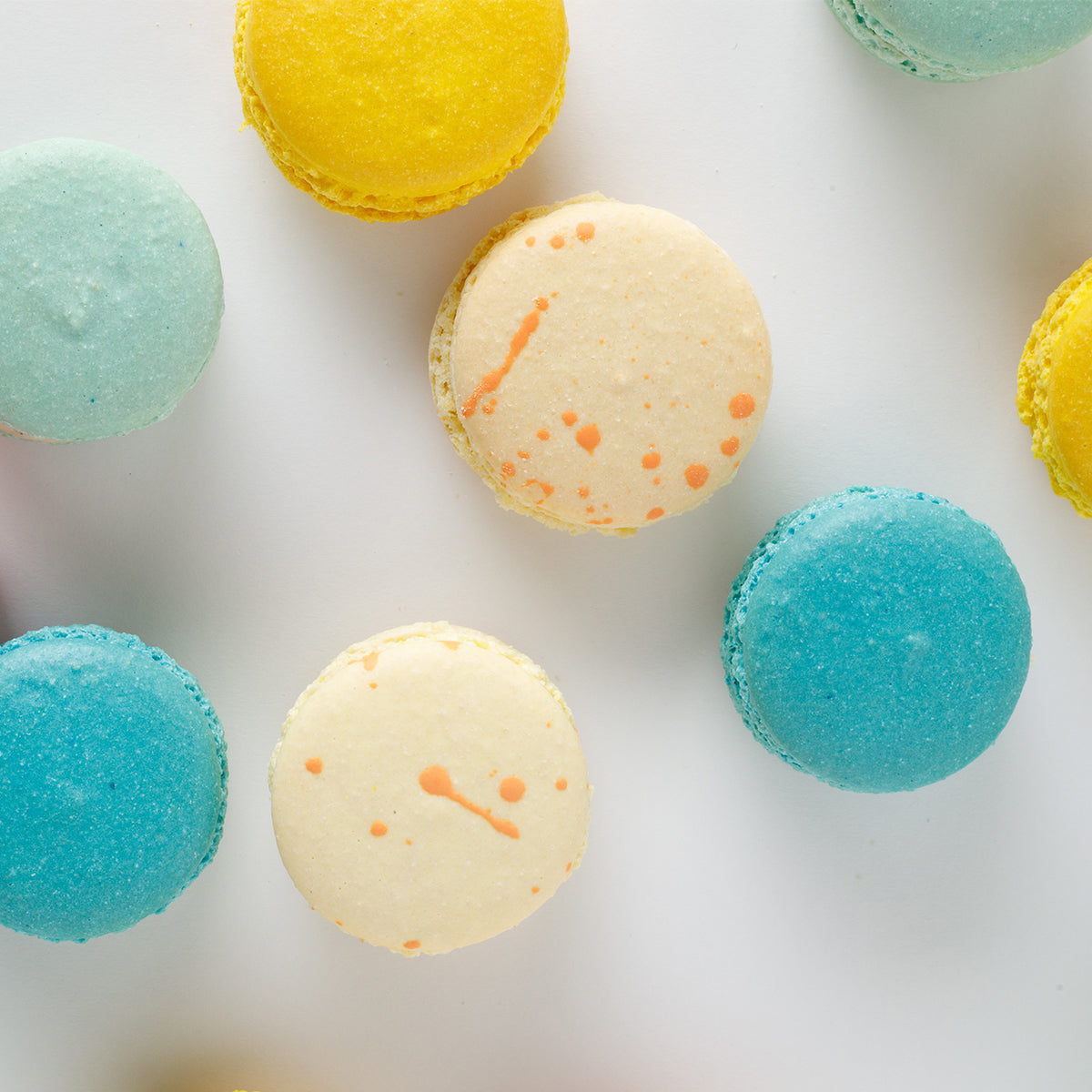 Sunshine Macaron Collection