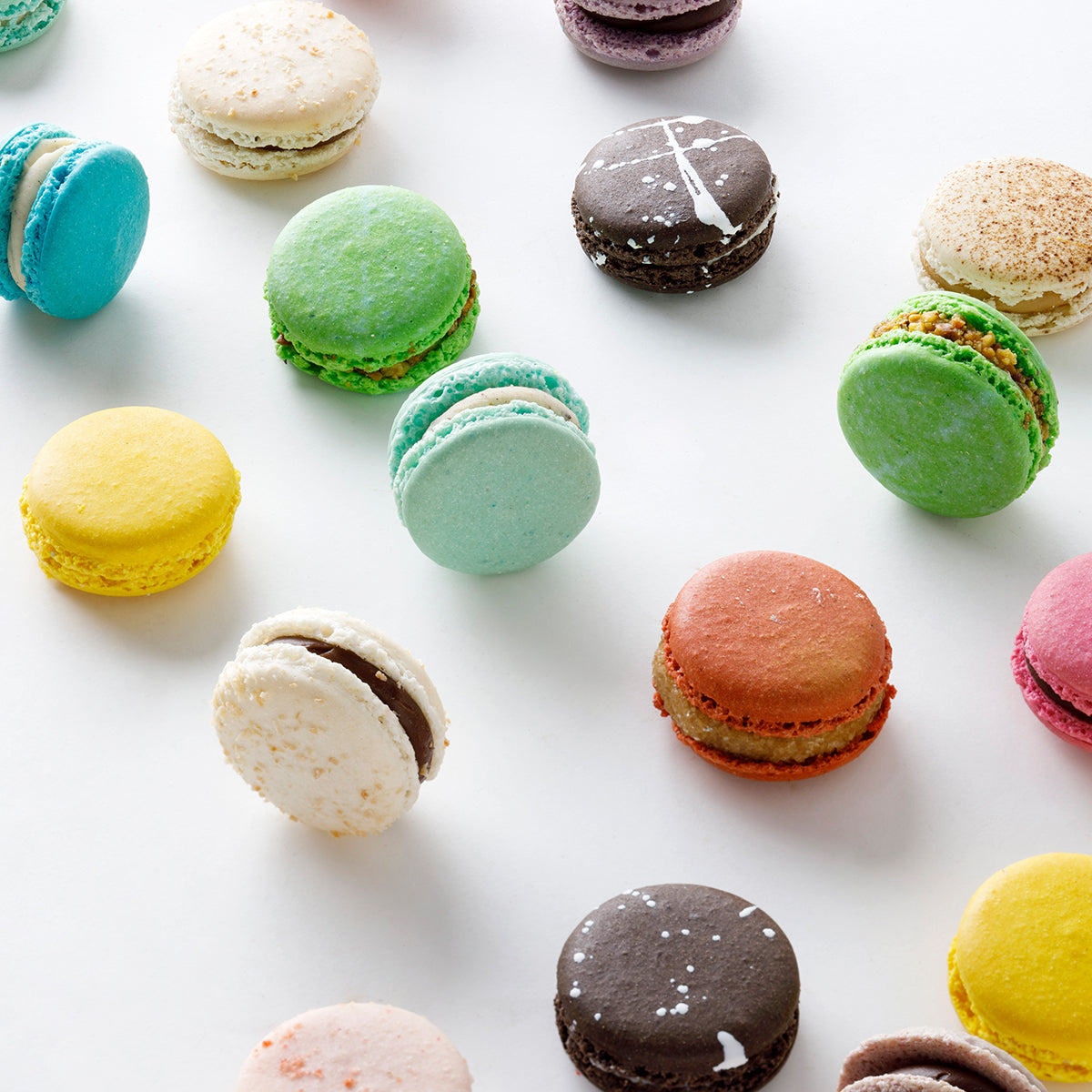 macaron  10個（各色説明文ご記載） Standard Macaron Collection