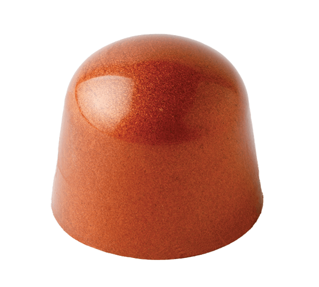 Caramel apple cider gourmet chocolate with sweet apples cinnamon and spiced caramel ganache