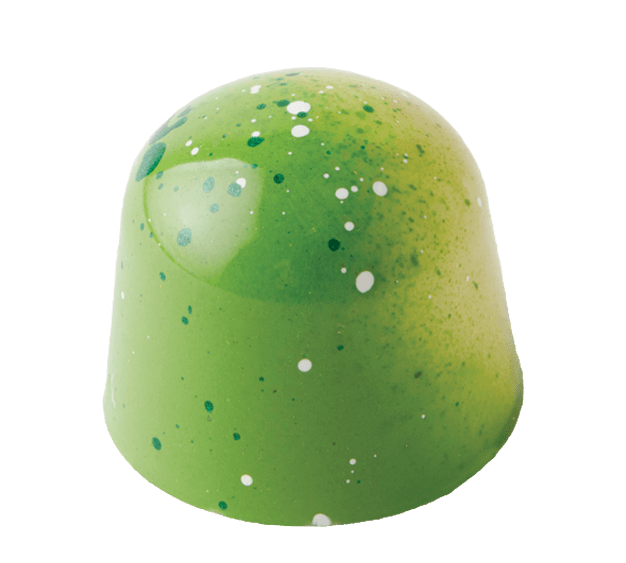 Key lime pie gourmet chocolate with fresh key lime white chocolate ganache and graham crumb