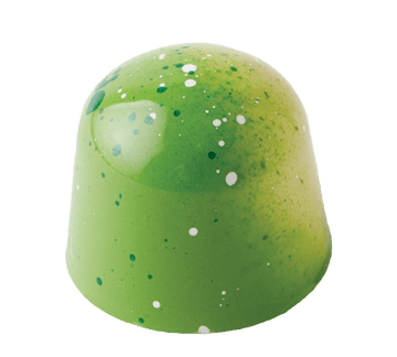 Key lime pie gourmet chocolate with fresh key lime white chocolate ganache and graham crumb