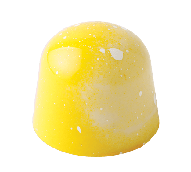 Lemon gourmet chocolate with fresh lemon white chocolate ganache
