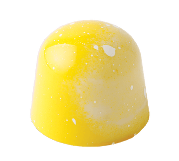 Lemon gourmet chocolate with fresh lemon white chocolate ganache