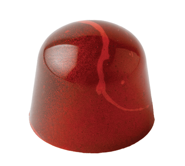 Raspberry gourmet chocolate with fresh raspberry puree in bittersweet ganache