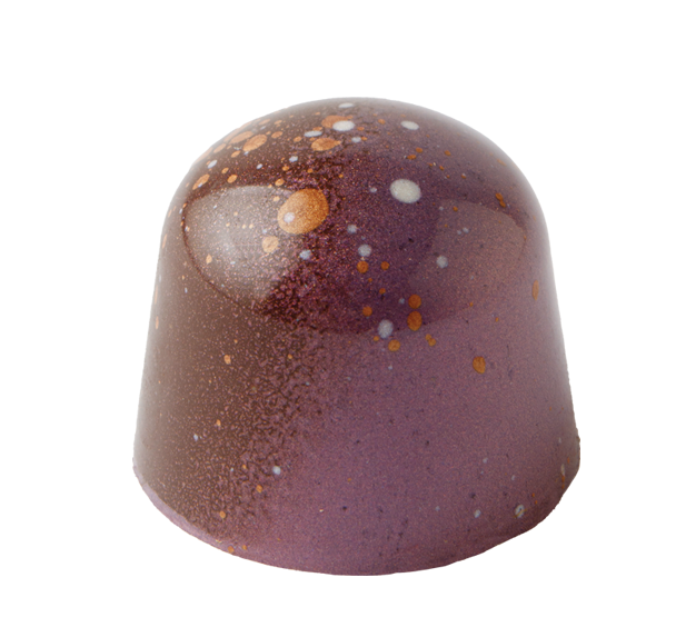 Salted caramel gourmet chocolate with sea salt and dark milk chocolate ganache