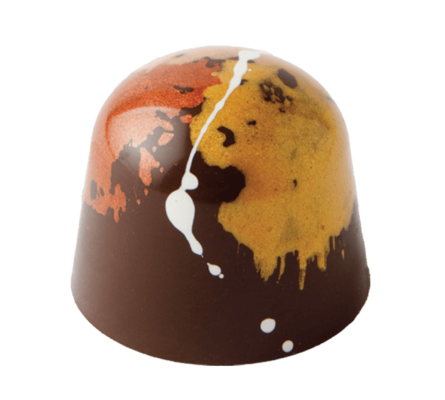 S'mores gourmet chocolate with marshmallow cream and graham cracker in dark chocolate shell