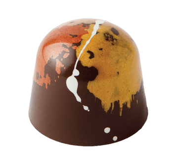 S'mores gourmet chocolate with marshmallow cream and graham cracker in dark chocolate shell