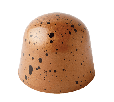 Turtle gourmet chocolate by Cocoa Dolce